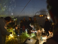 ZUR le boulon-108958